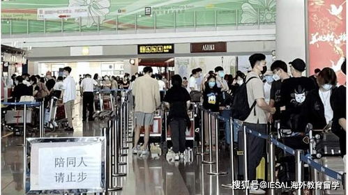 留学路上的隐形壕沟 消费观与中介之惑